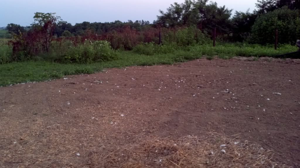 2011-07-25_21-02-46_329.jpg
