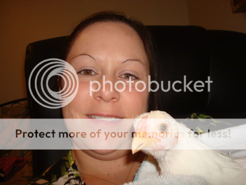 DSC02395.jpg