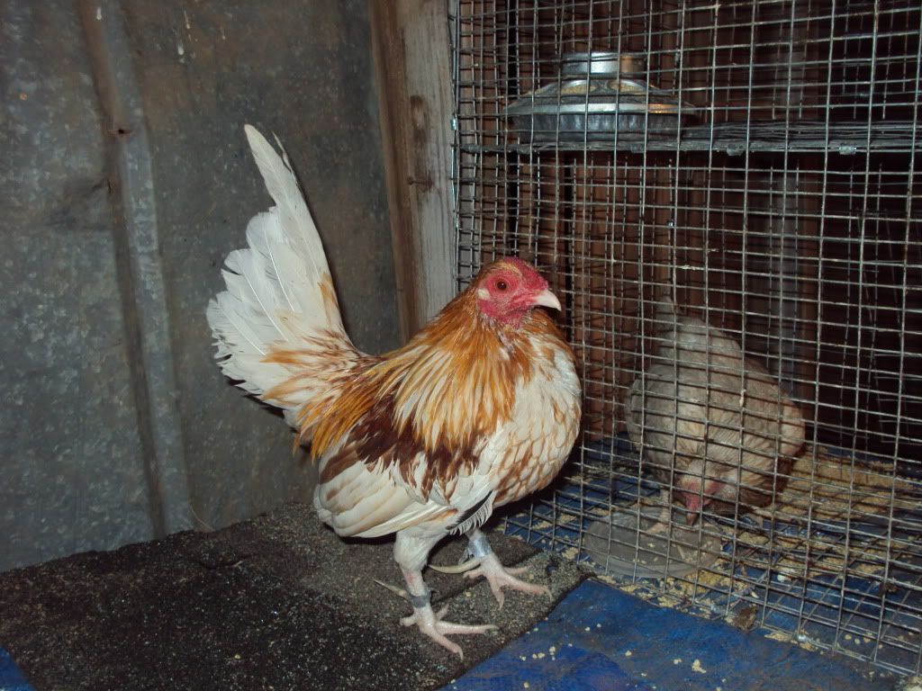 DSC00835.jpg
