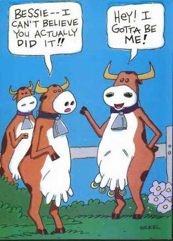 clean-jokes-for-slightly-twisted-minds-2.jpg