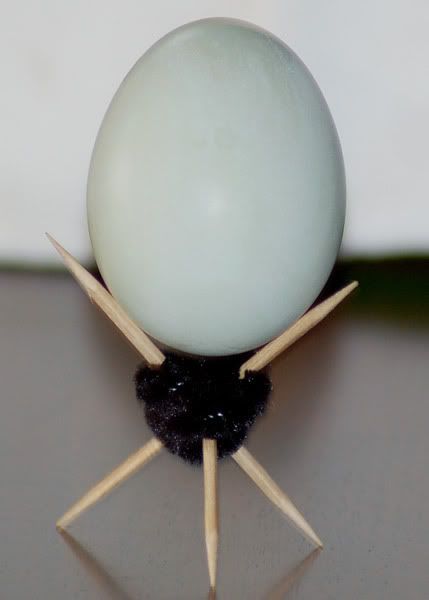 4129c282.jpg