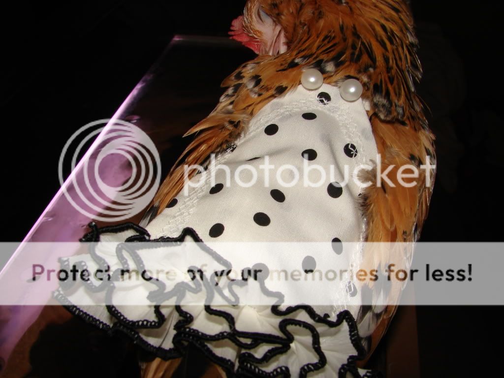 DSC05275.jpg