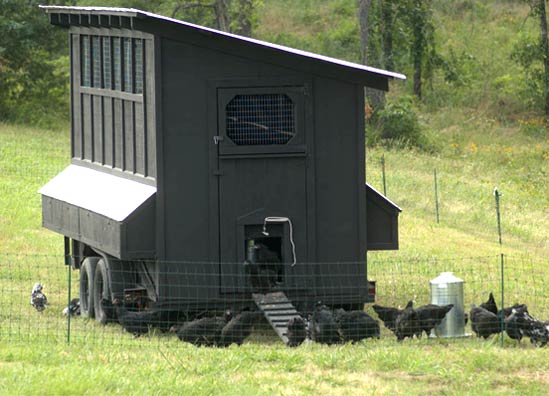 20130114_ChickenCoop01.jpg