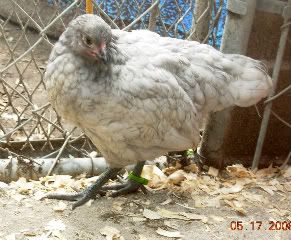 DSCN1626.jpg