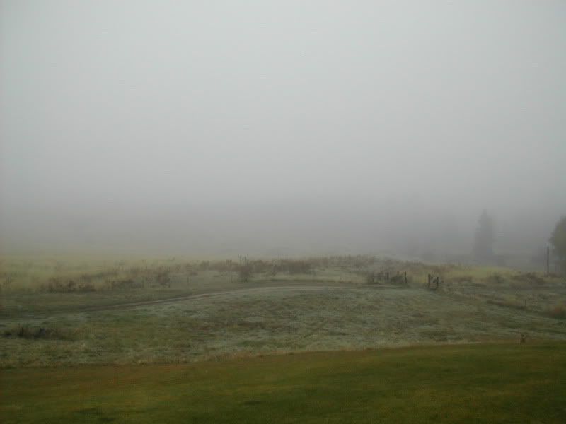DSCN4944.jpg
