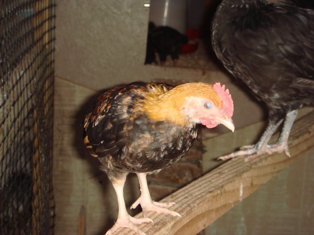 ckns6-26-0836.jpg
