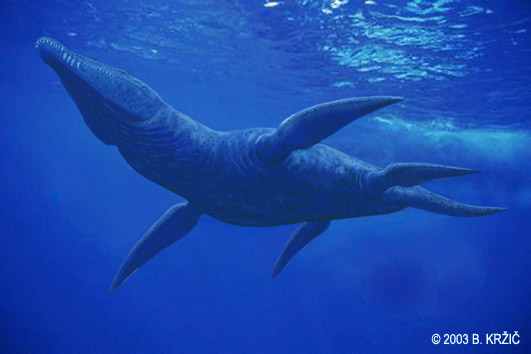 krzic-liopleurodon-001.jpg