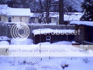 CHICKENCOOPINTHESNOWWWWWW1001.jpg