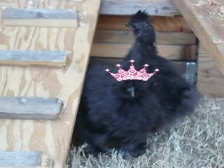 Venturashow037-1.jpg