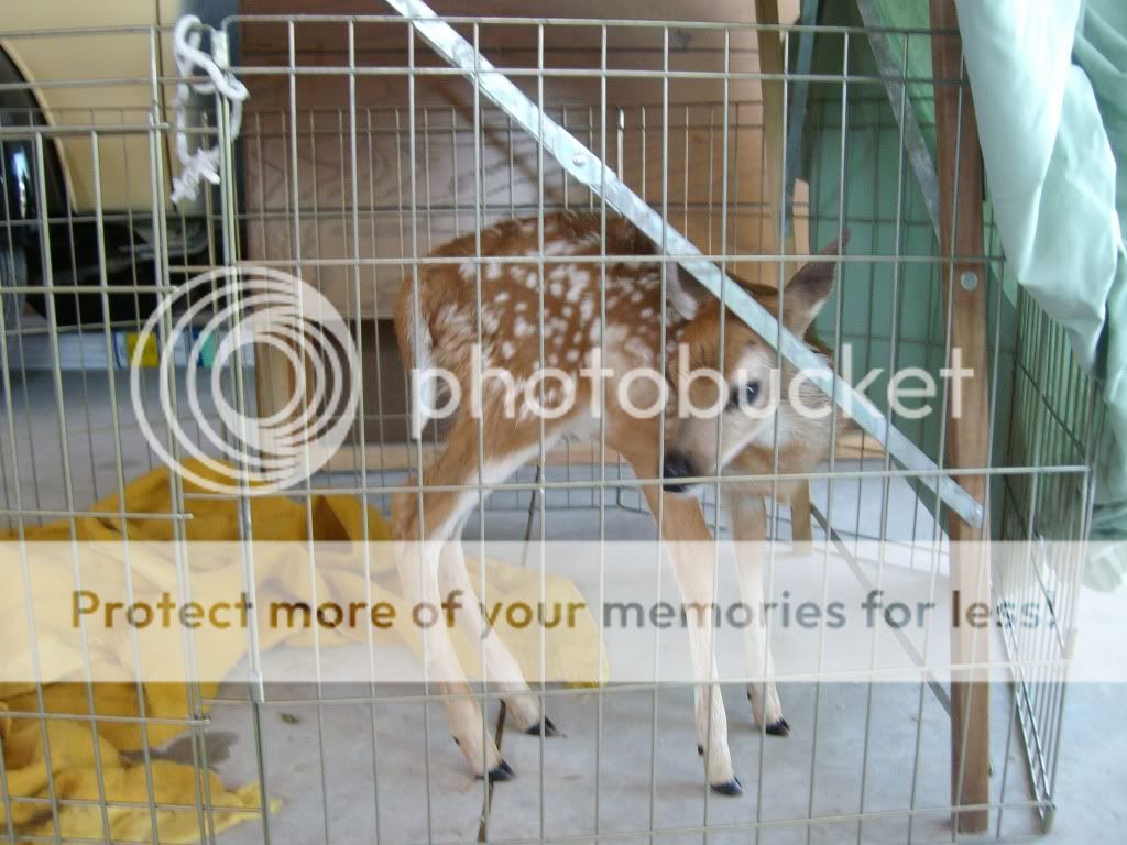 Random1134.jpg