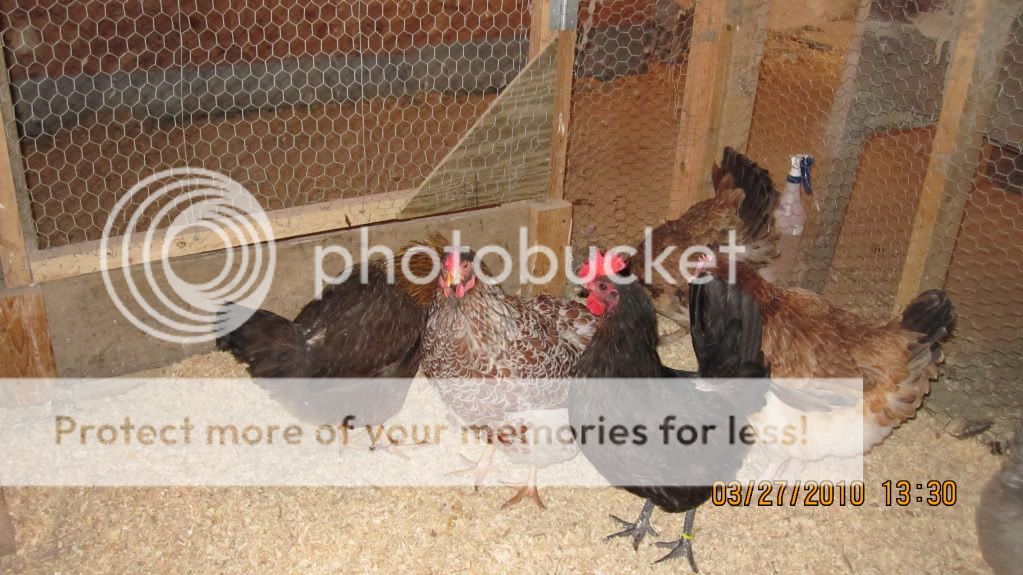IMG_0168.jpg
