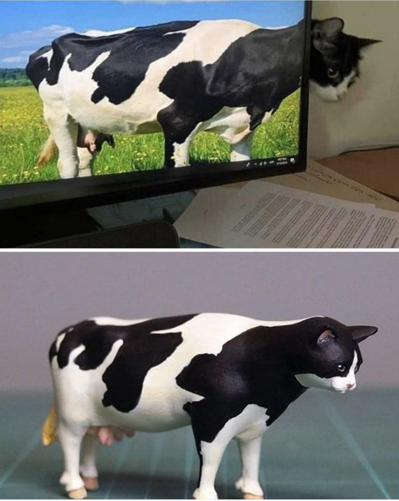 1728640885124988434.jpg