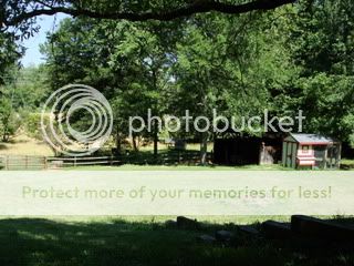 Ourhouse010.jpg
