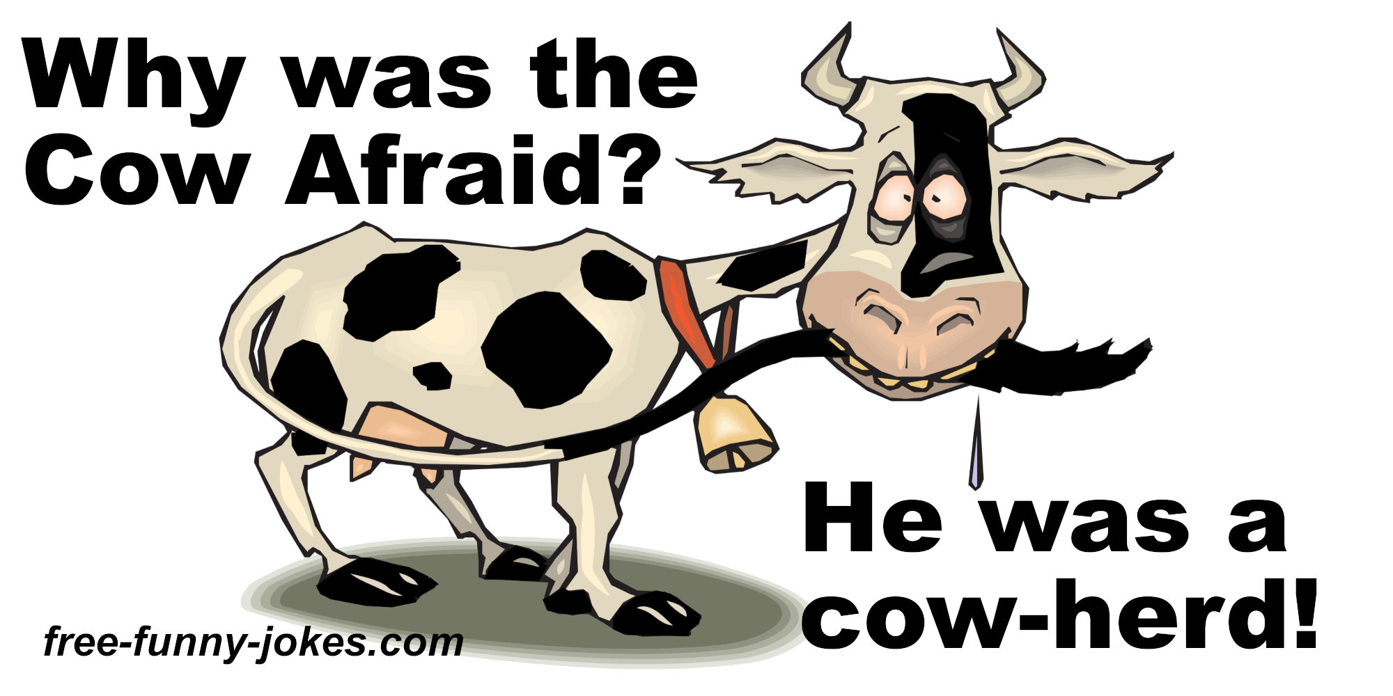 cow-jokes.jpg