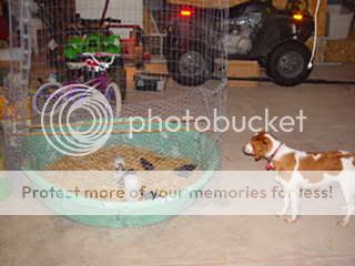 summerjuly08112.jpg