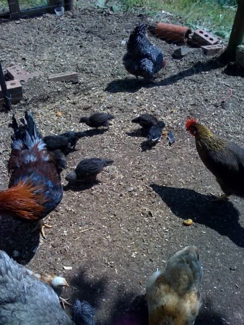 photo-137.jpg