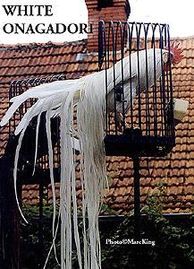 white_onag_highcage.JPEG