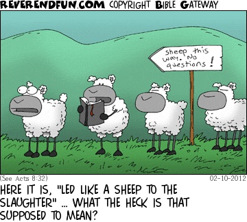 Sheep-in-the-bible-2.jpg