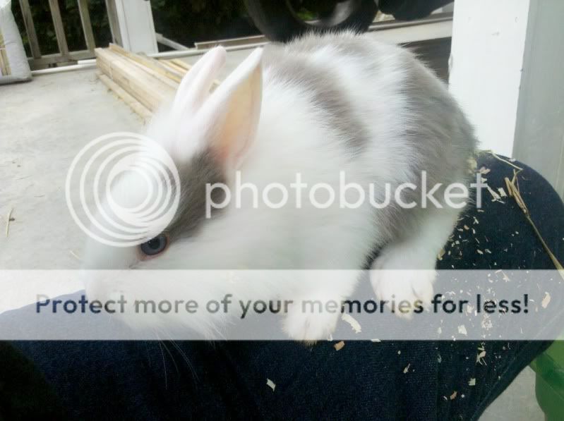 2011-05-14_10-27-18_765.jpg