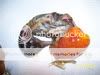 ChickensandDucks028.jpg
