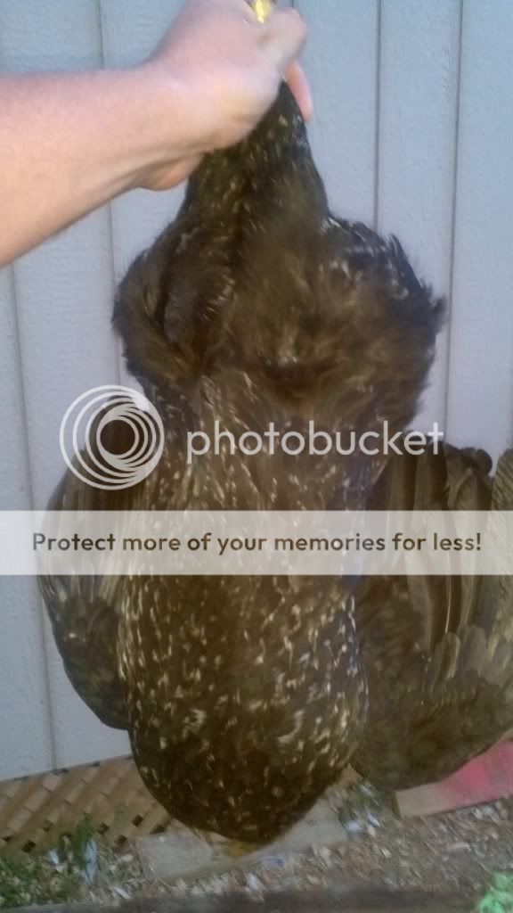2011-08-23_20-25-36_168.jpg