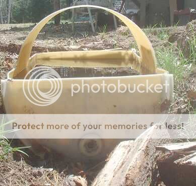 duckpool1.jpg