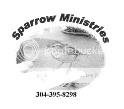 Sparrow_Min1.jpg