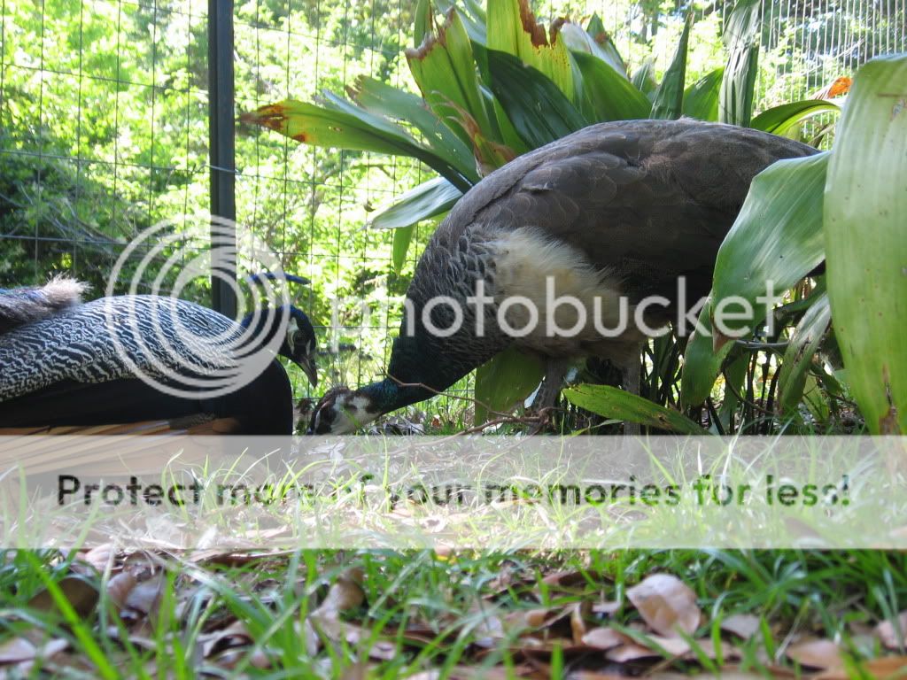 IMG_5306.jpg