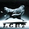 Avi_mar_2006-1.gif