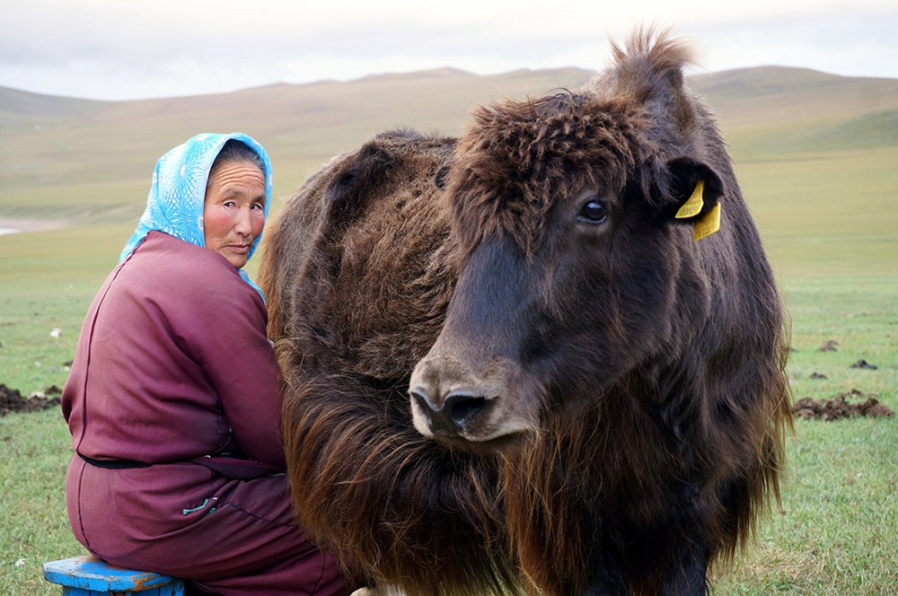 Yak-milk-1000.jpg