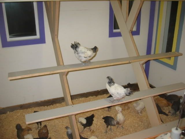 100_0020-7.jpg