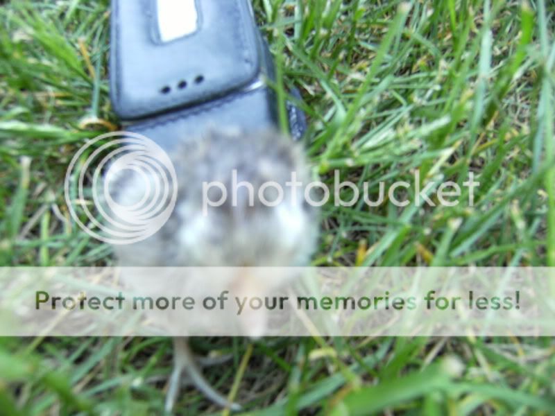 DSCF2391.jpg