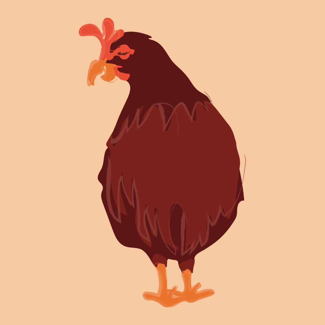 300d4971242875.5bbe8225bf1d7.gif