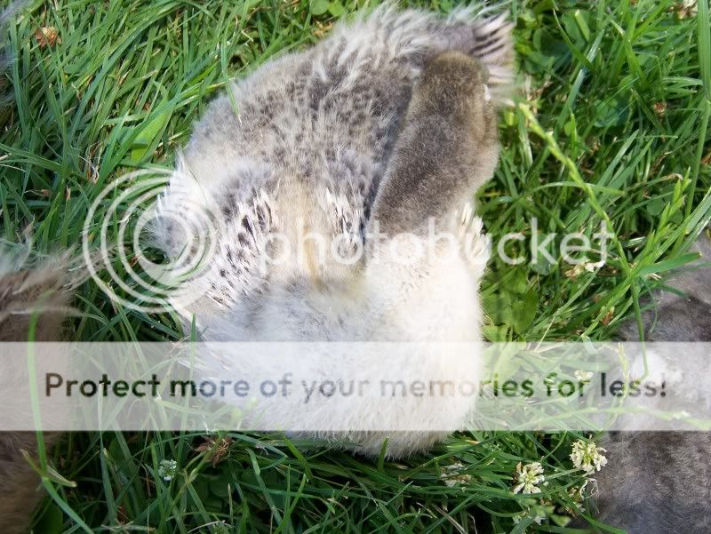 100_5934.jpg