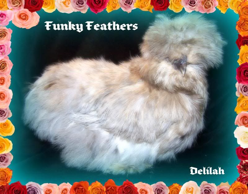 delilah140.jpg