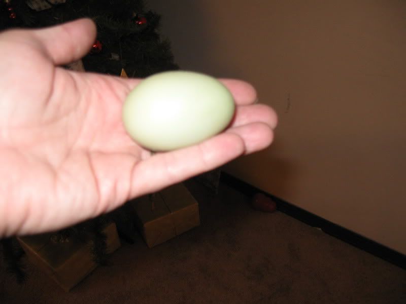 December22nd2011001.jpg