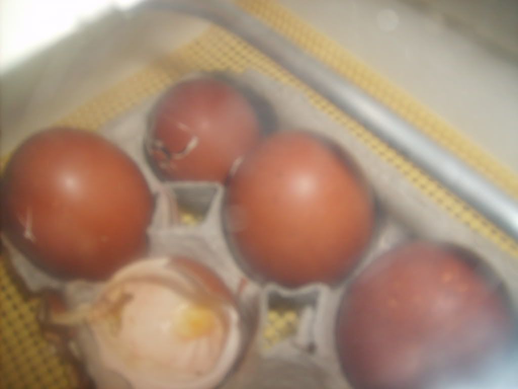 12-20-09009.jpg