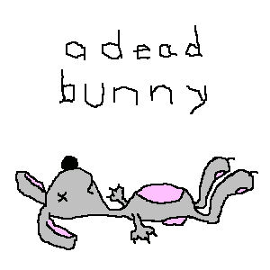 deadbunny.jpg