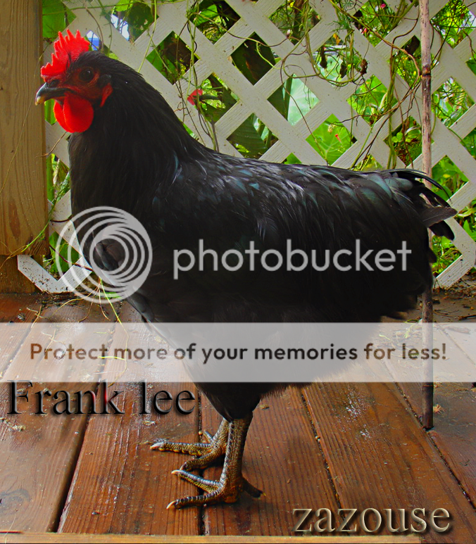 DSC00195.png