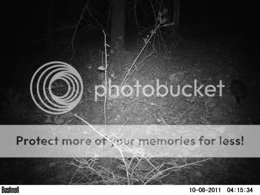 PICT0016.jpg