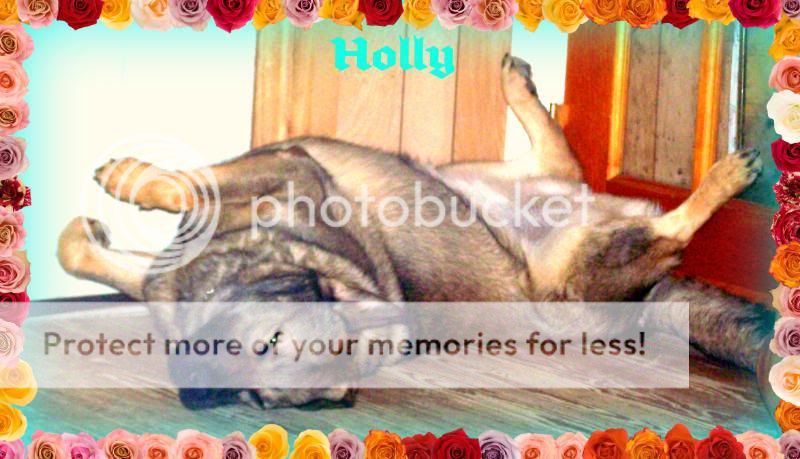 hollysleep20-1.jpg