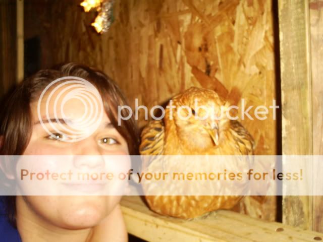 camera008.jpg