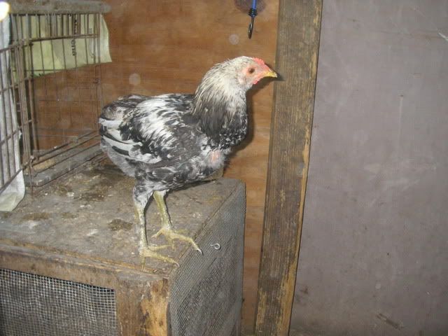PC020114.jpg