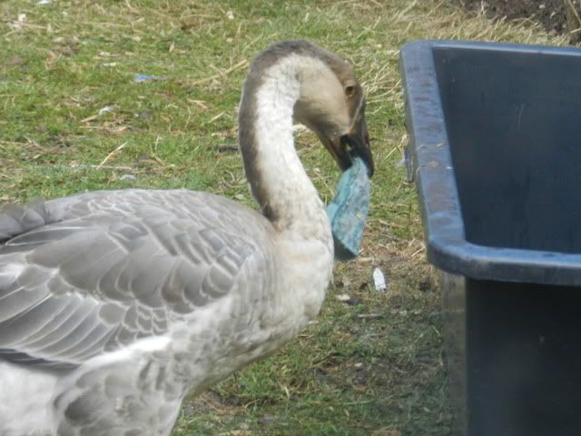 DSCN0634.jpg