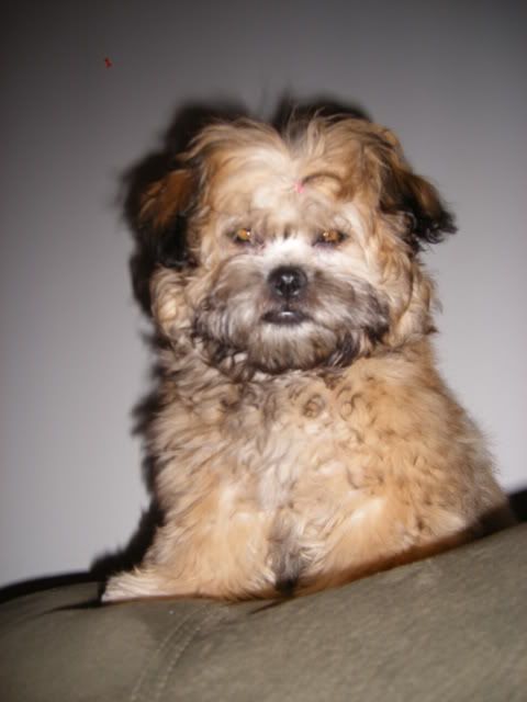2007_0304Random0030.jpg