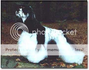 FSMakesMMad-1988.jpg