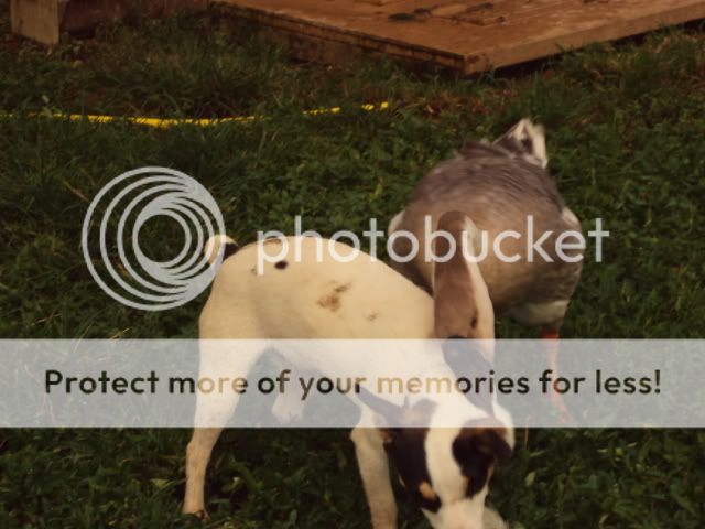 DSC00036.jpg