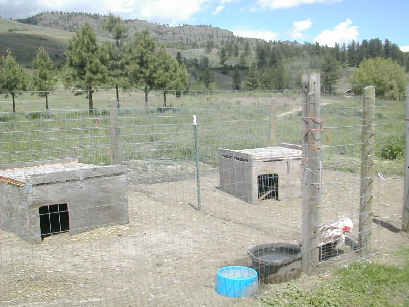 DSCN4373.jpg