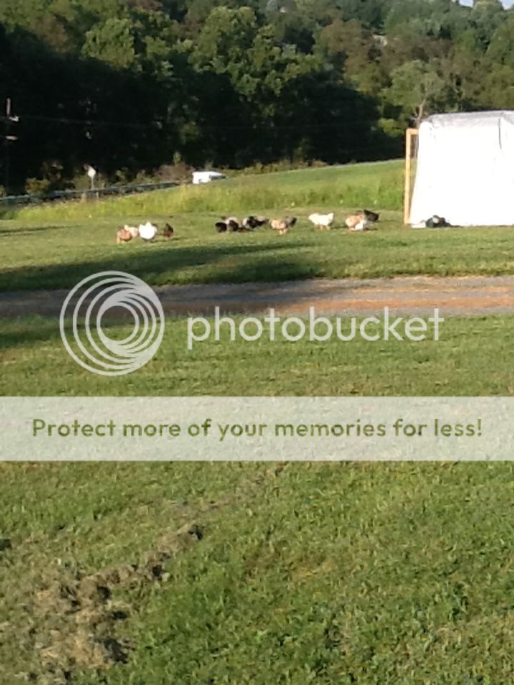 6f4d8002f80a9ab962ccaebe6712e1ab.jpg