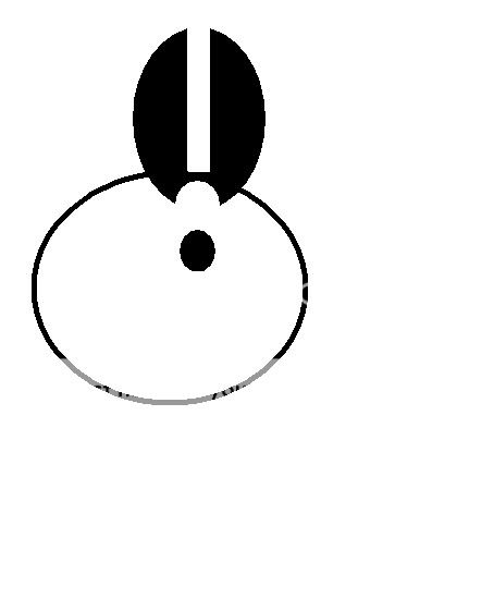 fatrabbitlogo2.jpg